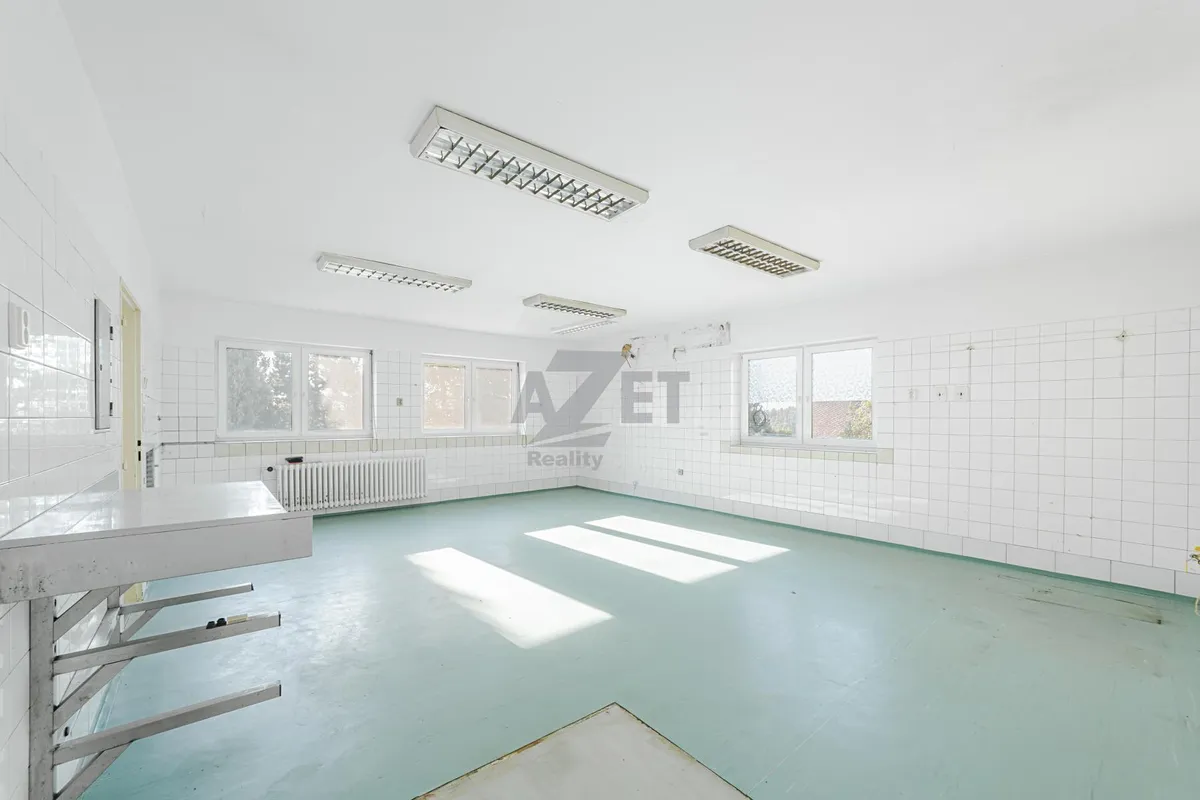 Fotka 20 z 30